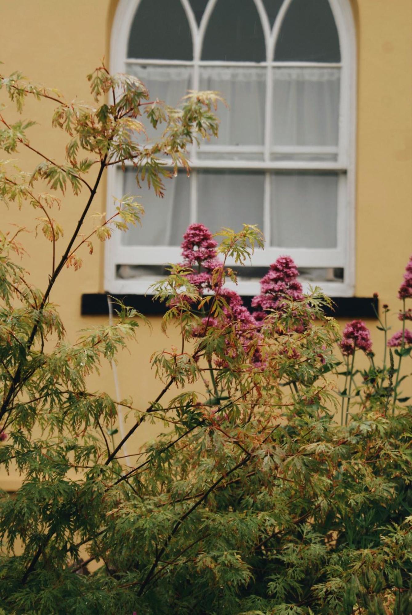 Ranscombe House Bed and Breakfast Brixham Εξωτερικό φωτογραφία